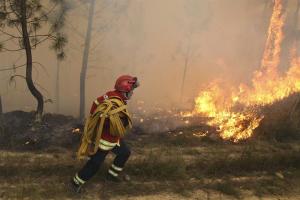 Incendio forestal destruye más de 20 casas en EEUU