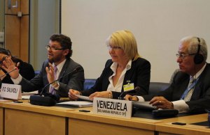 La delegación chavista responde con ironía ante la ONU