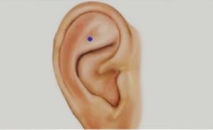 ¿Qué pasa si presionas este punto de tu oreja?