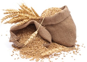 Escasez de trigo podría paralizar los molinos
