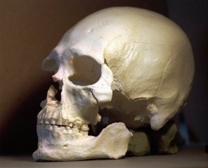 ADN de esqueleto antiguo muestra vínculo con indígenas de América del Norte