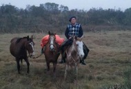 Cruzó Uruguay a caballo para buscar su título universitario (FOTO)