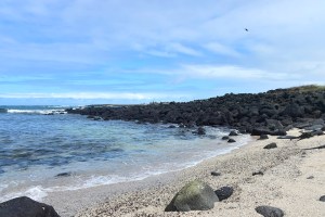 ¡Cuidado con los souvenirs!: los particulares recuerdos que se incautan en Galápagos