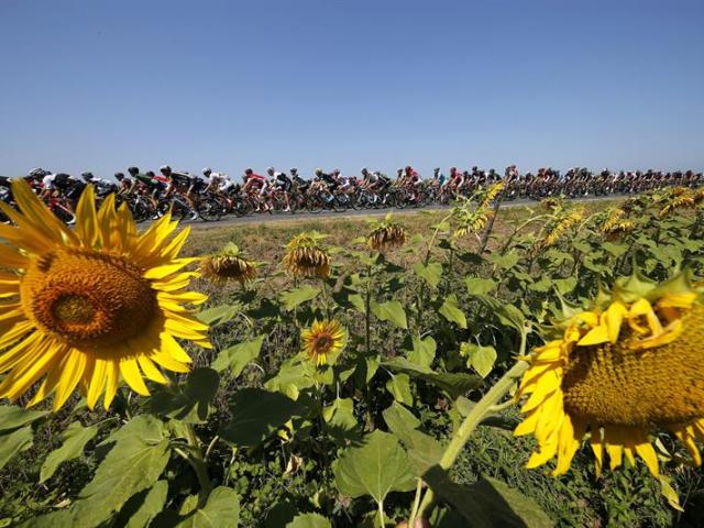 El pelotón participa en la 11ª etapa del Tour de Francia, que discurre entre las localidades galas de Pau y Cauterets (Francia), hoy, 15 de julio de 2015. EFE/Kim Ludbrook