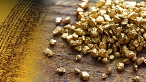 Todo el que desarrolle actividad aurífera deberá vender el oro al BCV