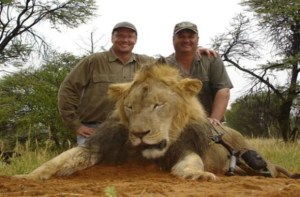 EEUU abre investigación por muerte del león Cecil