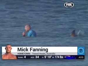 Un hombre fue atacado por dos tiburones en pleno torneo de surf (Video)