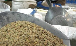 A 800 bolívares subió el kilo de lentejas en Táchira