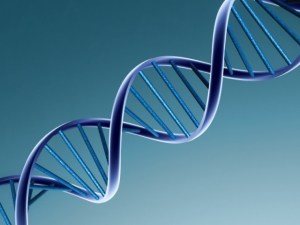 Un nuevo método describe nuevos genes en la materia oscura del ADN