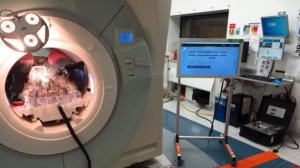 Usan robot no metálico para realizar biopsias de próstata