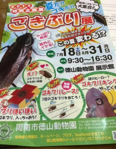 Un zoo japonés intenta renovar la imagen de las cucarachas