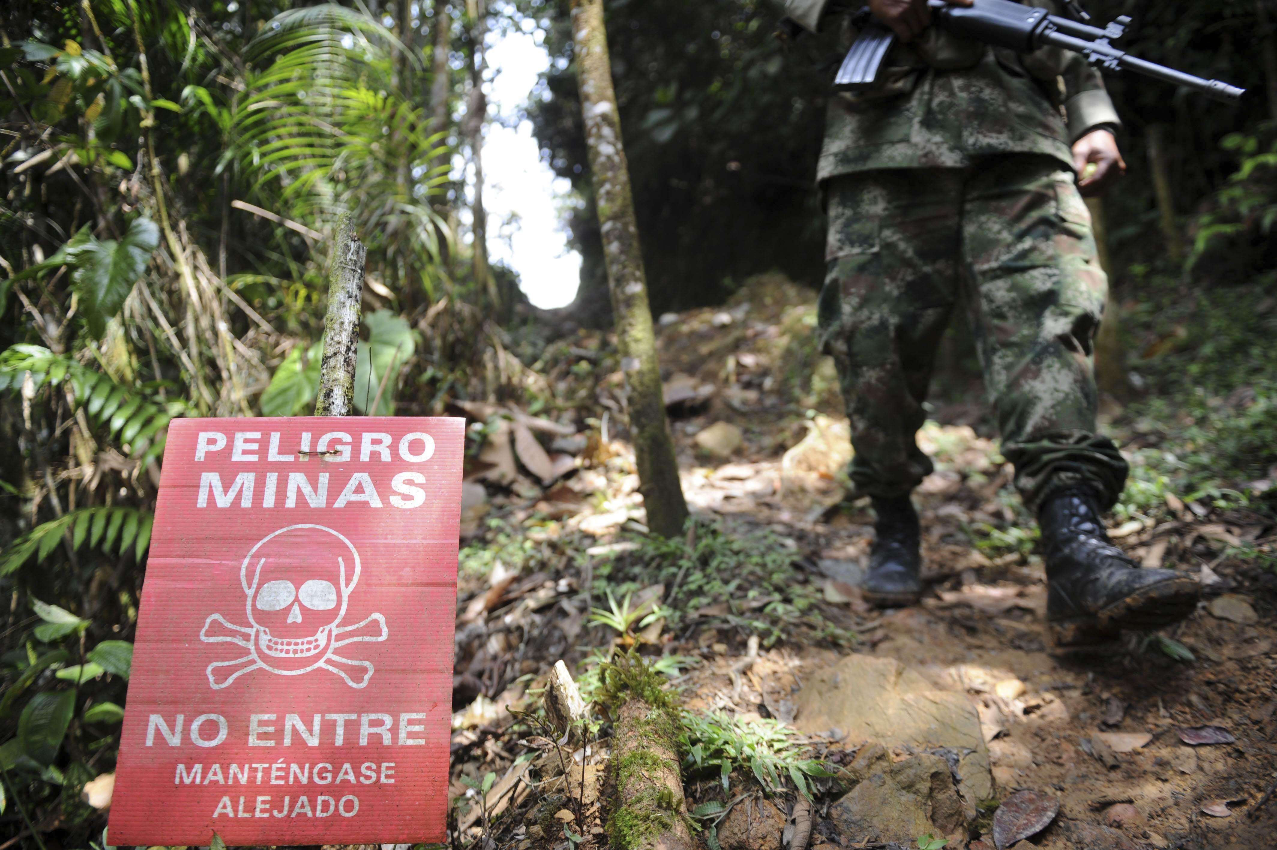 Comunidad internacional apoya a Colombia para desminar el país en 5 años