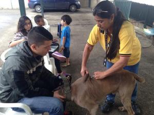 Mascotas del municipio Sucre fueron vacunadas en jornada gratuita