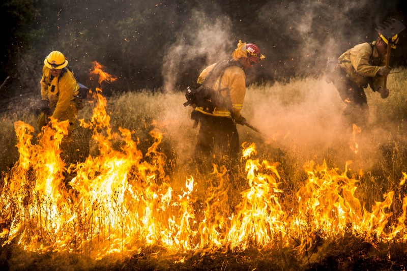 California devorada por más de 20 incendios 