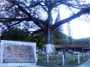 ¿Sabías dónde está enterrado el caballo blanco de El Libertador Simón Bolívar?