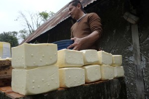 Invelecar: Queso blanco a puerta de corral se ubicó en 465.000 bolívares