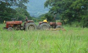 La inseguridad y la escasez  de comida para el personal ahuyentan a los productores de Anzoátegui