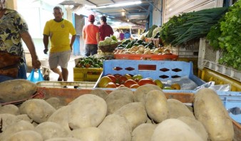 El kilo de tomate y cebolla se consigue hasta en 400 bolívares en Puerto La Cruz