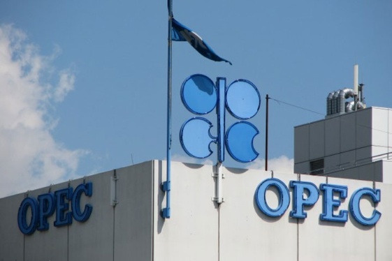 Venezuela estaría presionando a miembros de la OPEP para reunión de emergencia con Rusia