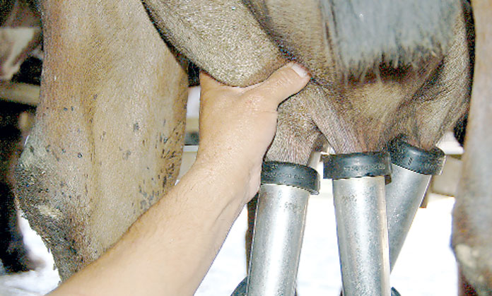 Falta de divisas en sector lácteo obliga a paralización de empresas
