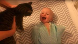 ¡Emoción incontenible! Bebé no puede esconder su felicidad tras conocer al gato de la familia