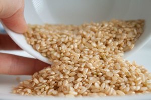 Descalabro en la producción nacional de semillas de arroz