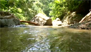 Aguas cristalinas de ríos y cascadas te esperan en Mango de Ocoita en Miranda