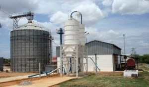 Producción de harina de maíz en planta de Aragua bajó 75% en doce meses