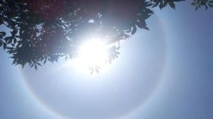 El espléndido halo solar que reportan este #30S (Fotos)