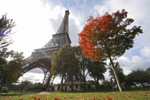 Por una París más limpia: Guerra a las colillas de cigarrillos