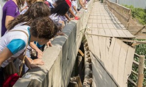 Más de 20 heridos tras caída de puente en Brasil