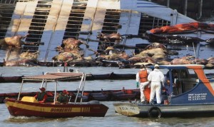 Vacas muertas al naufragar barco que venía a Venezuela se pudren en puerto de Brasil (Fotos)