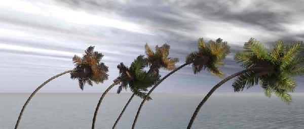 Florida escapa de los huracanes por décimo año en fila