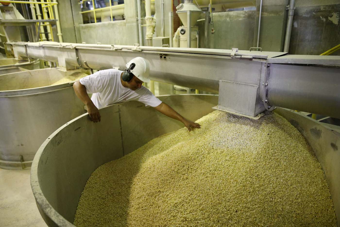 Comienza cosecha de maíz con unos precios fijados de manera inconsulta y arbitraria, dice Fedeagro