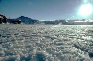 Derretimiento de hielo antártico podría elevar tres metros el nivel del mar