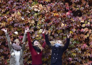 Los espectaculares colores del otoño (fotos)