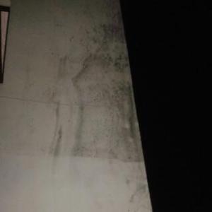 Imagen de la Virgen apareció en El Vigía tras sismo (fotos)