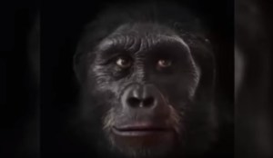 En un minuto mira cómo ha evolucionado el rostro humano  (Video)