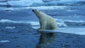 Científicos observan con preocupación el deshielo de los suelos en el Ártico