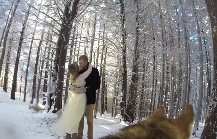 Un perro graba la boda de sus dueños… El resultado es hermoso (Video)