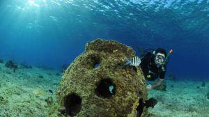 Arrecifes artificiales crean vida y turismo