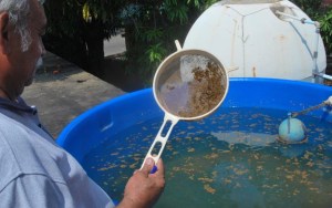 Encuentran restos de heces en agua potable en Zulia