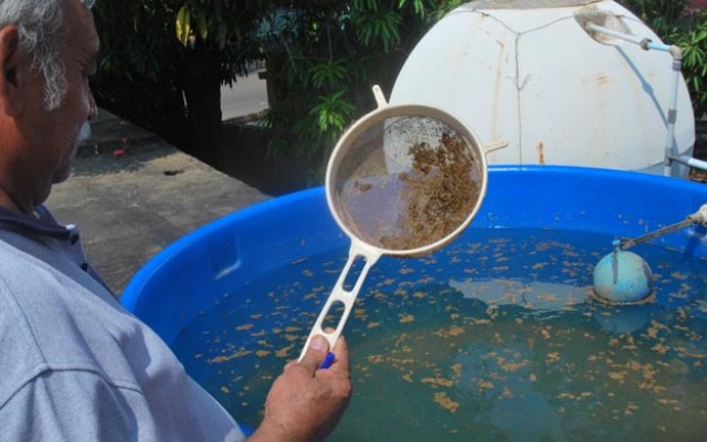 Maracaibo,Venezuela,11/12/2015. Exequiel Jerez, habitante de Sierra Maestra denuncian contaminacion del agua por excremeno, en el municipio San Francisco.