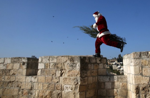 A Christian Palestinian man dressed up as Santa Claus walks carrying a Christmas tree along Jerusalem's Old City walls on December 21, 2015, as Christians around the world prepare to celebrate Christmas. AFP PHOTO / GALI TIBBON / AFP / GALI TIBBON