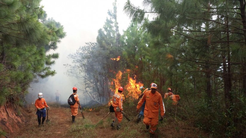 Alerta roja en 25 departamentos de Colombia por riesgo incendios forestales