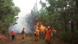 Más de 70 incendios se han registrado en Táchira en lo que va de 2016