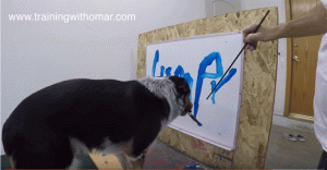 Conoce a Jumpy, el perro que causa furor al escribir su nombre (Video)