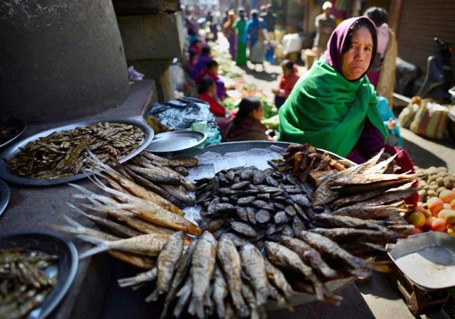 Una mujer vende pescado seco ahumado en el mercado de Ima en ciudad Imphal, en el estado indio de Manipur, hoy, 6 de enero de 2015. El mercado tradicional de Imphal, conocido por ser el mayor del mundo integrado únicamente por mujeres, ha recuperado su actividad normal tras el terremoto registrado el pasado 4 de enero. Un total de 13 personas murieron por el seísmo del lunes en la India y Bangladesh, mientras que otras 228 resultaron heridas. EFE/Str