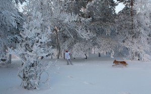 La mayor nevada del invierno cubre Moscú con un gran manto blanco (Fotos)