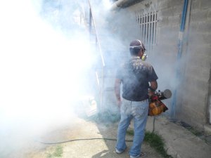 Síntomas del virus Zika duran solo siete días en el organismo